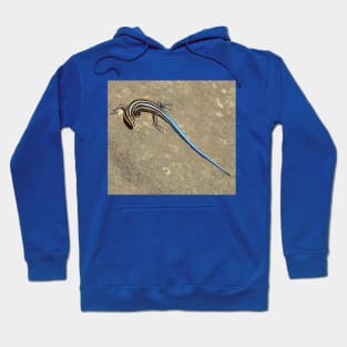 Blue Tailed Lizard 2 Hoodie